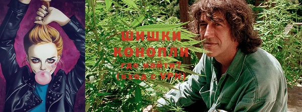 метадон Дмитриев