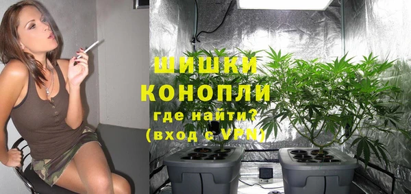 мдпв Няндома